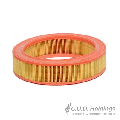 Air Filter (AG715)