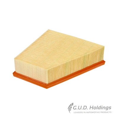 Air Filter (AG1049)
