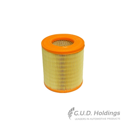 Air Filter (AG1464)