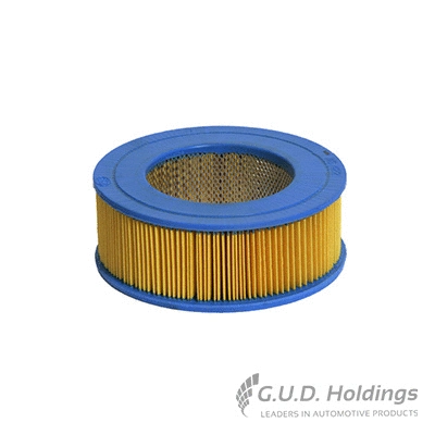 Air Filter (AG422)
