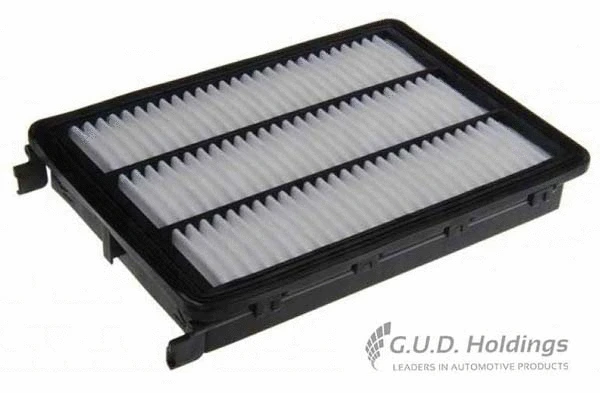 Air Filter (AG1796)