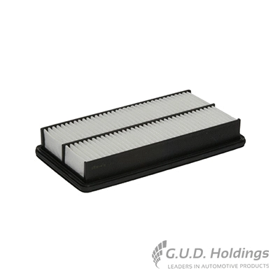 Air Filter (AG1051)