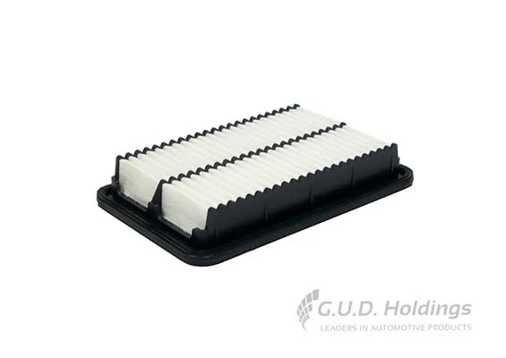 Air Filter (AG1579)