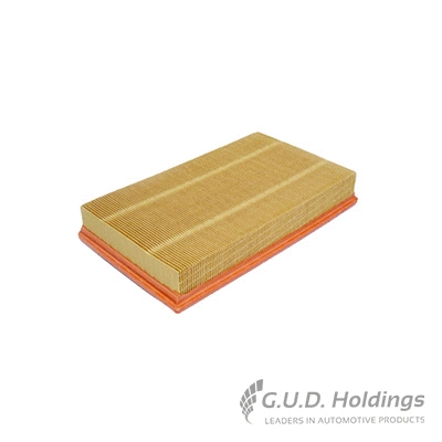 Air Filter (AG1453)
