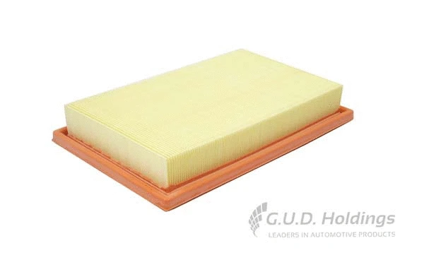 Air Filter (AG1661)
