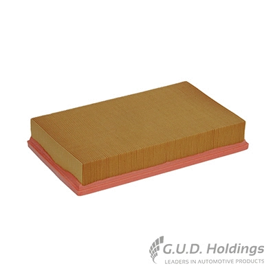 Air Filter (AG1038)