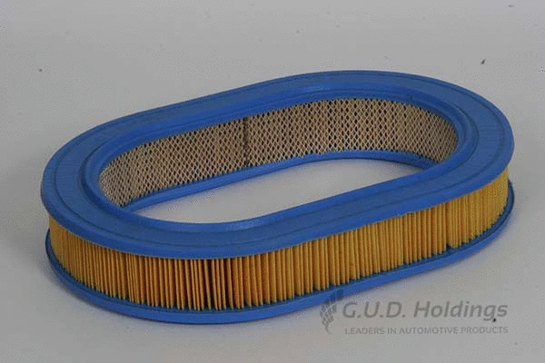 Air Filter (AG737)