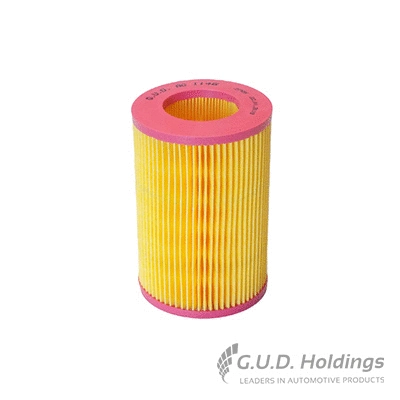 Air Filter (AG1146)
