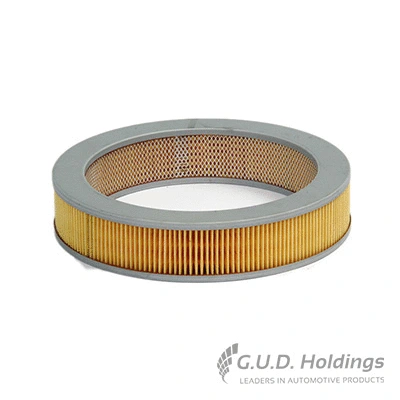 Air Filter (AG627)