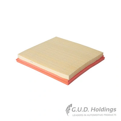 Air Filter (AG1418)