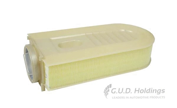 Air Filter (AG1556)