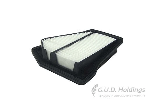Air Filter (AG1687)