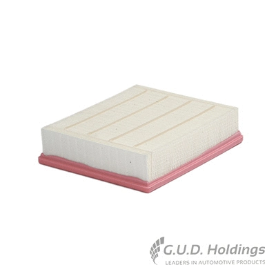 Air Filter (AG1030)
