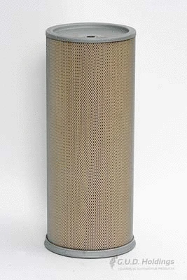 Secondary Air Filter (ADG795)