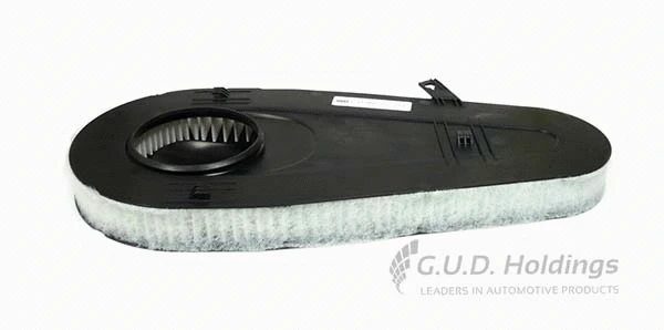 Air Filter (AG1622)