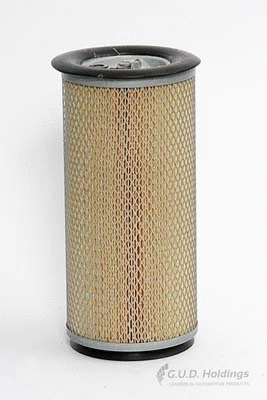 Air Filter (ADG680)