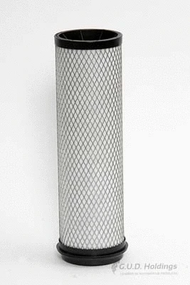Secondary Air Filter (ADG1217)