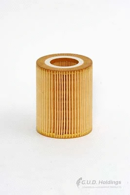 Oil Filter (M3)