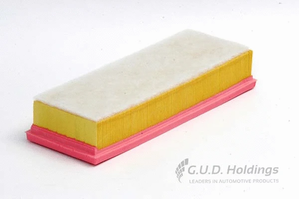 Air Filter (AG1224)