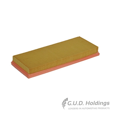 Air Filter (AG1150)