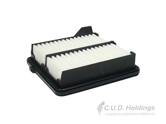 Air Filter (AG1559)