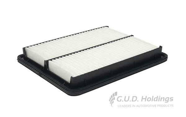 Air Filter (AG1575)