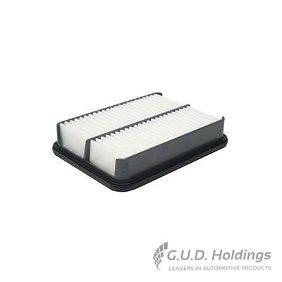 Air Filter (AG1555)