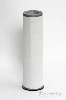 Secondary Air Filter (ADG681)