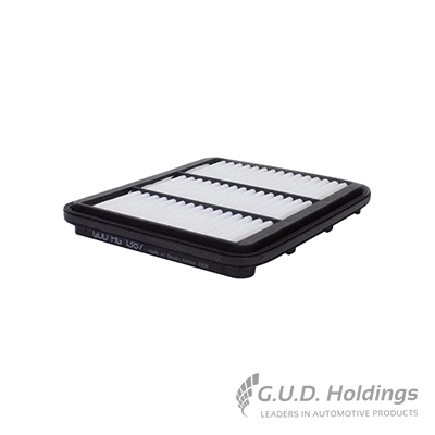 Air Filter (AG1387)