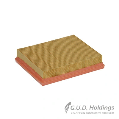 Air Filter (AG1020)