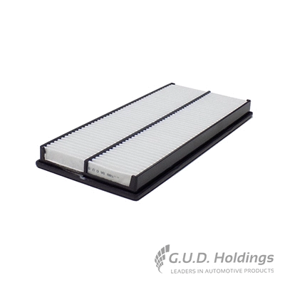 Air Filter (AG987)