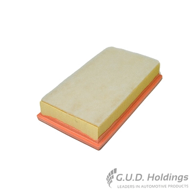 Air Filter (AG1429)