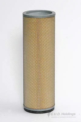 Secondary Air Filter (ADG973)