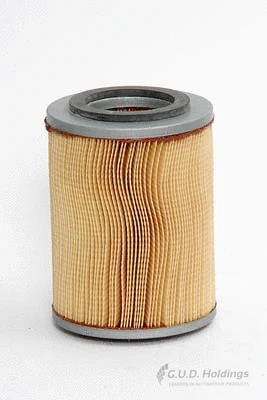 Air Filter (ADG739)