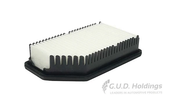 Air Filter (AG1578)