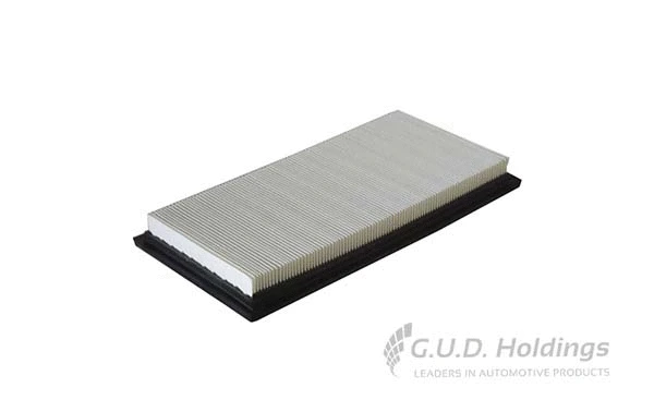 Air Filter (AG1521)