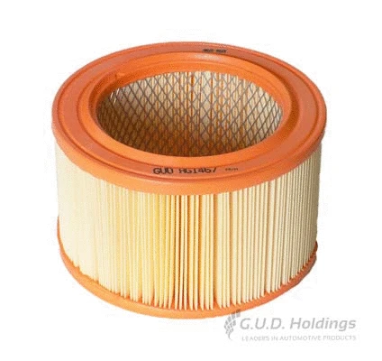 Air Filter (AG1467)