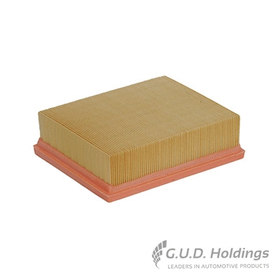 Air Filter (AG1083)