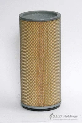 Secondary Air Filter (ADG956)