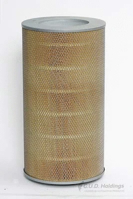 Air Filter (ADG967)