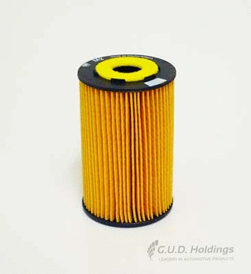 Oil Filter (M2)