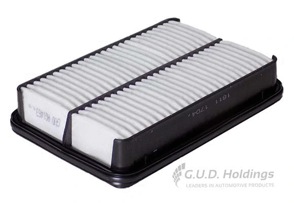 Air Filter (AG1463)