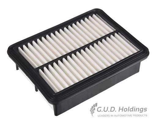 Air Filter (AG1905)
