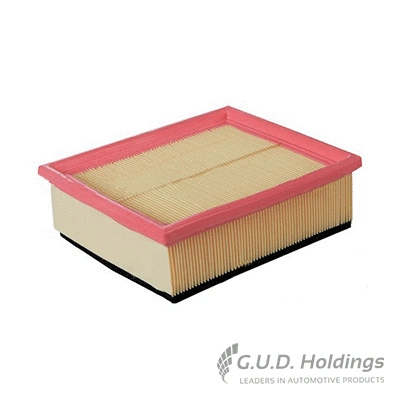 Air Filter (AG1084)