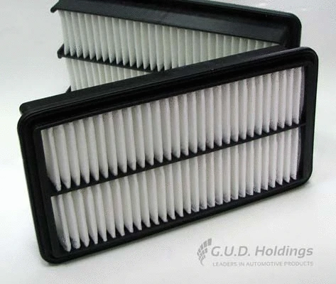Air Filter (AG1534)