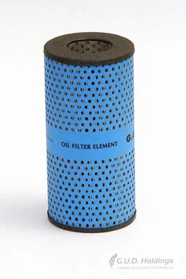 Oil Filter (G666)