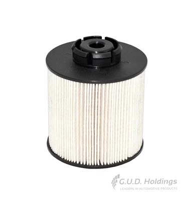 Fuel Filter (M22)