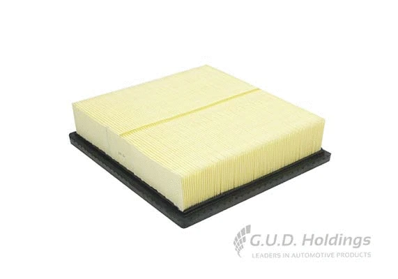 Air Filter (AG1709)