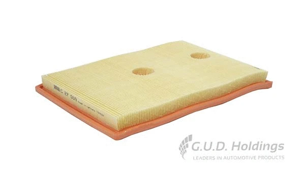 Air Filter (AG1542)