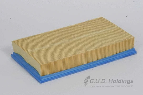 Air Filter (AG907)